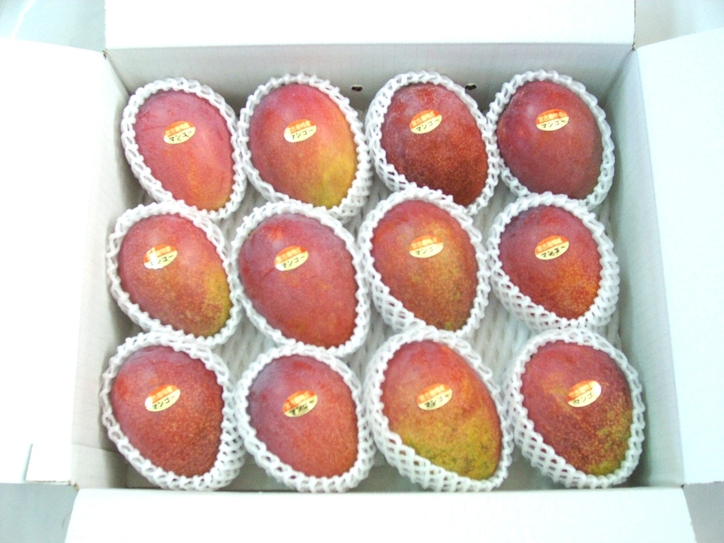 〈産直/早期予約販売〉宮古島完熟マンゴー 1kg/2kg/4kg【冷蔵】