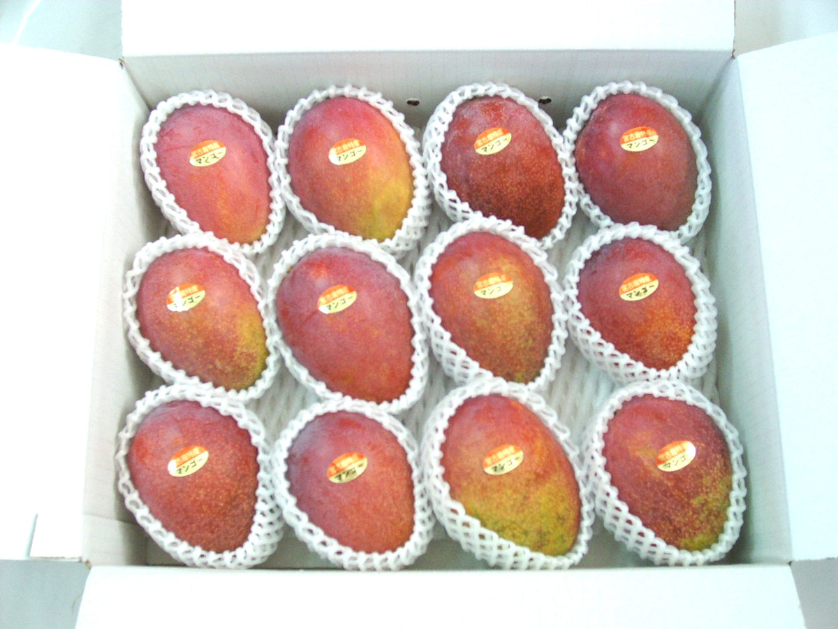 産直/早期予約販売〉宮古島完熟マンゴー 1kg/2kg/4kg【冷蔵】 – 琉2 