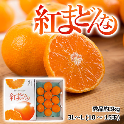 〈産直〉紅まどんな（秀品約3㎏）