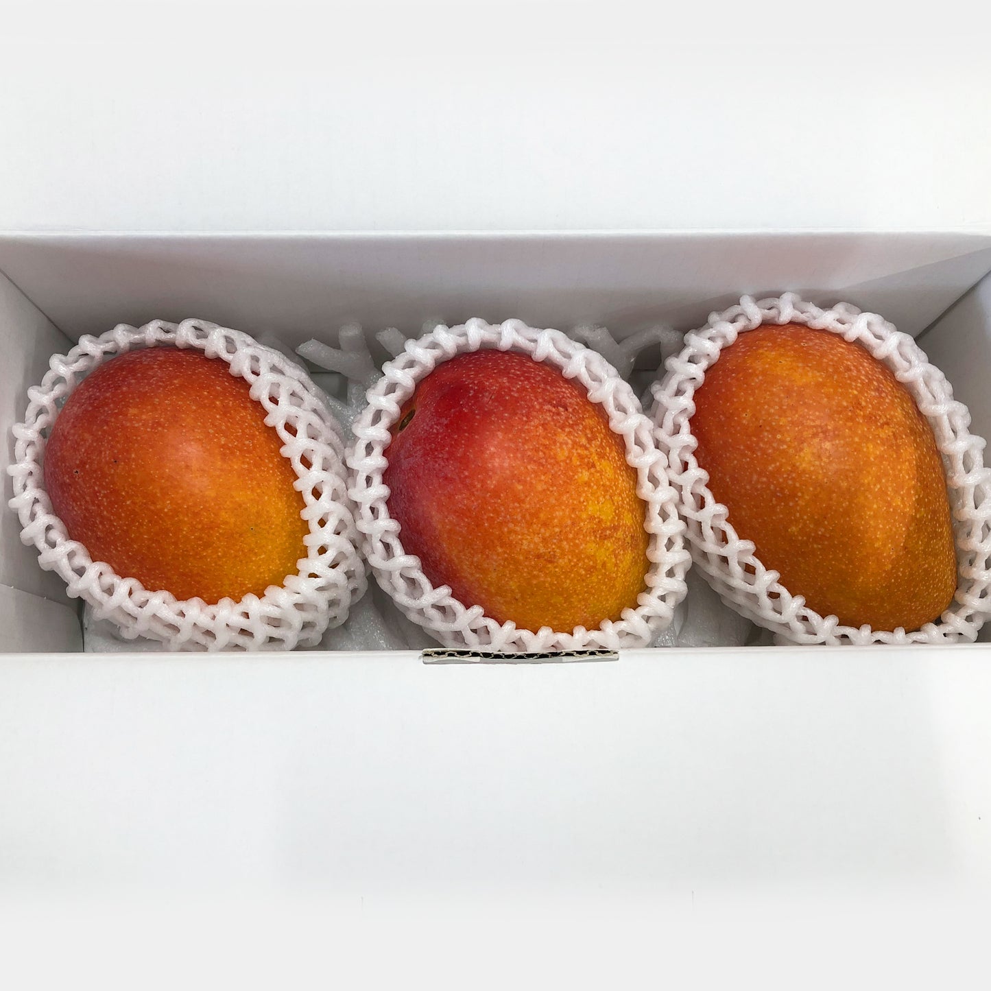 〈産直/早期予約販売〉宮古島完熟マンゴー 1kg/2kg/4kg【冷蔵】