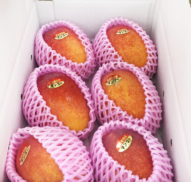 〈産直/早期予約販売〉宮古島完熟マンゴー 1kg/2kg/4kg【冷蔵】
