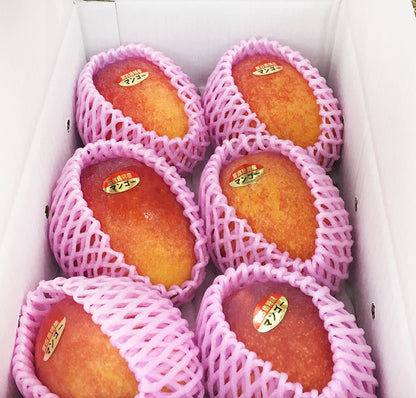 〈産直/早期予約販売〉宮古島完熟マンゴー 1kg/2kg/4kg【冷蔵】